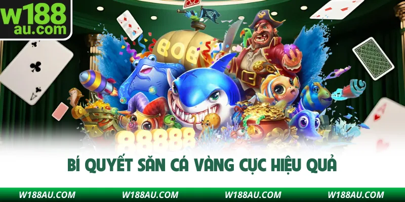 Bí quyết săn cá vàng cực hiệu quả