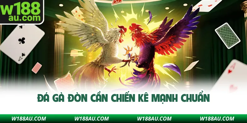 Đá gà đòn cần chiến kê mạnh chuẩn