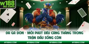 Đá Gà Đòn - Trải Nghiệm Kịch Tích Tại Sân Chơi W188